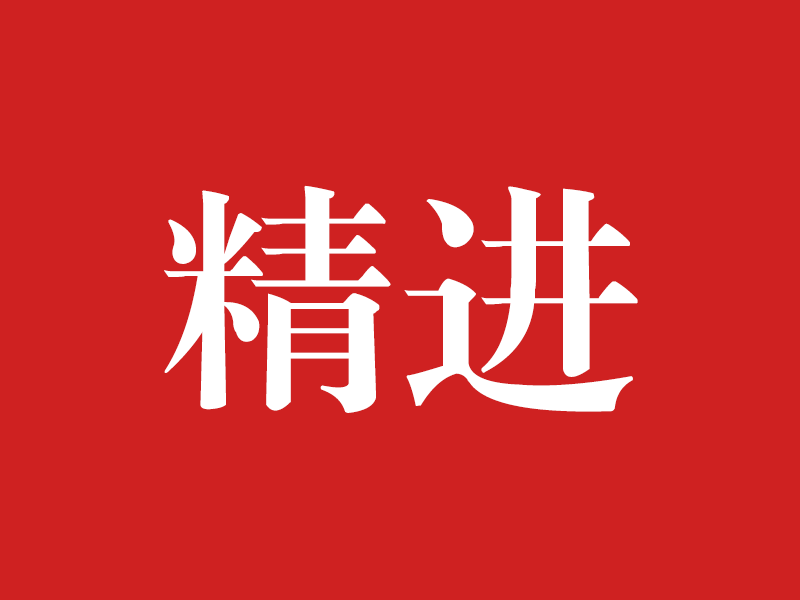 《六项精进》纲要